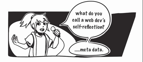 what do you call a web dev's self-reflection? ...meta data.