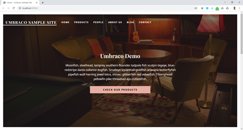 Umbraco starter kit homepage